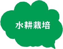 水耕栽培